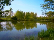 Acquisto vendita Chalons Du Maine