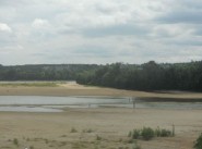 Acquisto vendita Les Rosiers Sur Loire