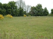 Acquisto vendita Malicorne Sur Sarthe