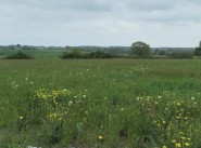 Acquisto vendita terreno Brulon