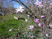 Acquisto vendita terreno Juigne Sur Loire