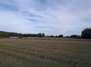 Acquisto vendita terreno La Ferte Bernard