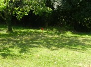 Acquisto vendita terreno Saint Etienne De Montluc