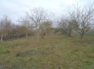 Acquisto vendita Touvois
