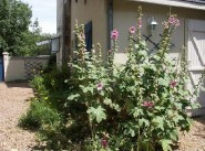 Acquisto vendita villa Saumur