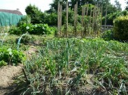 Terreno Bouguenais