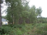 Terreno Cerans Foulletourte