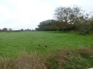 Terreno Deneze Sous Le Lude